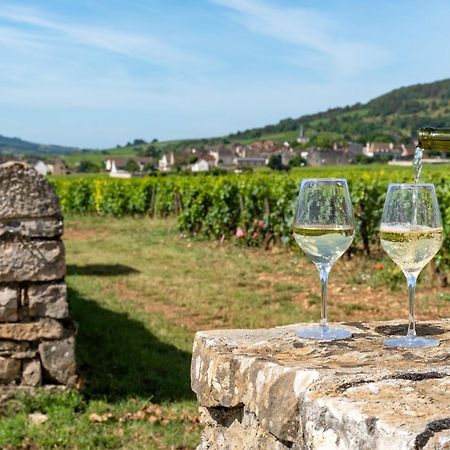 Charmante Maison Climatisee Avec Son Jardin A 10 Minutes De Dijon 马尔萨奈拉科 外观 照片