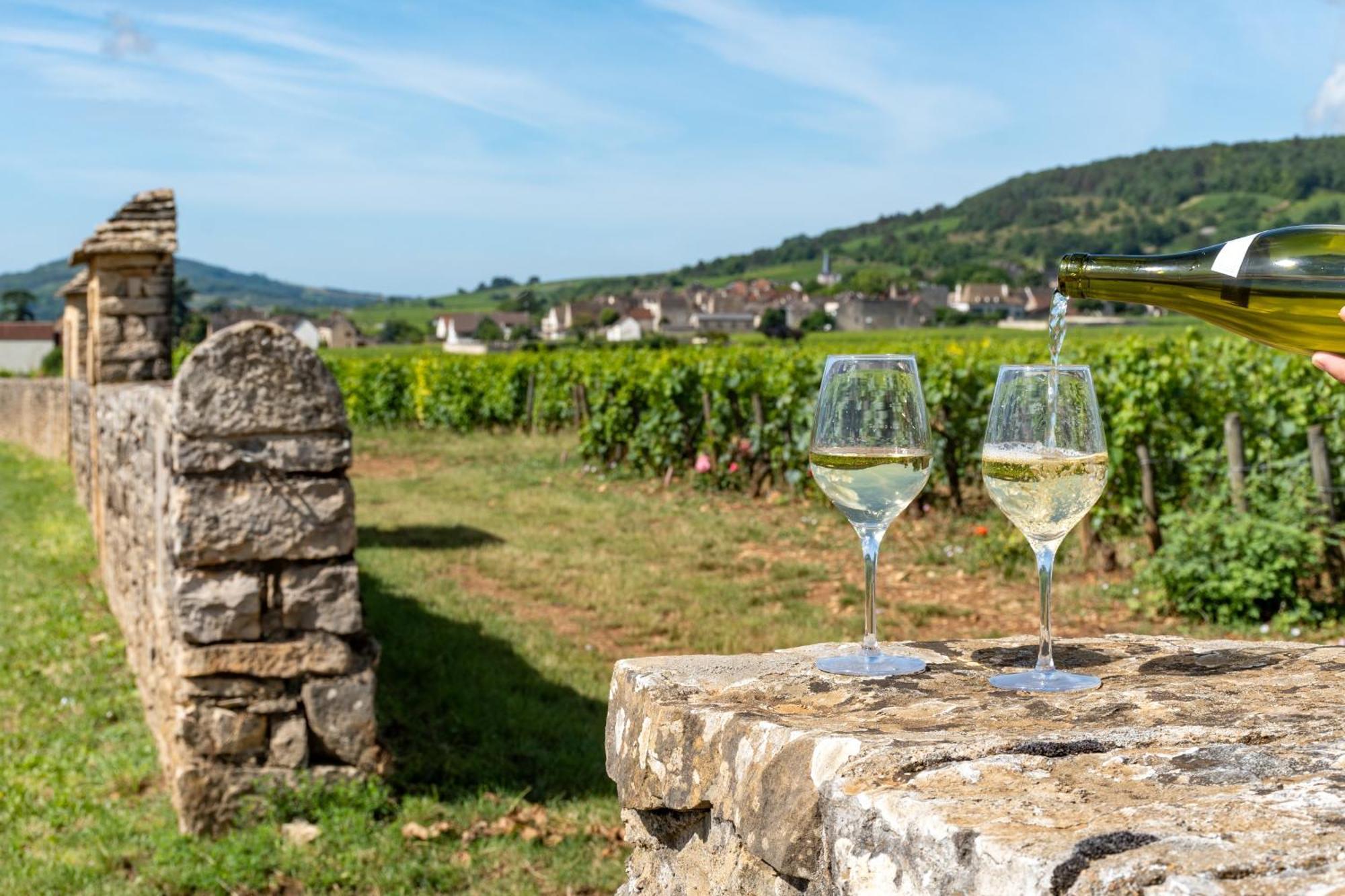 Charmante Maison Climatisee Avec Son Jardin A 10 Minutes De Dijon 马尔萨奈拉科 外观 照片